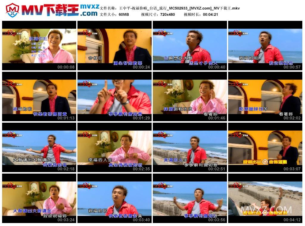 王中平-祝福你啦_台语_流行_MC502933